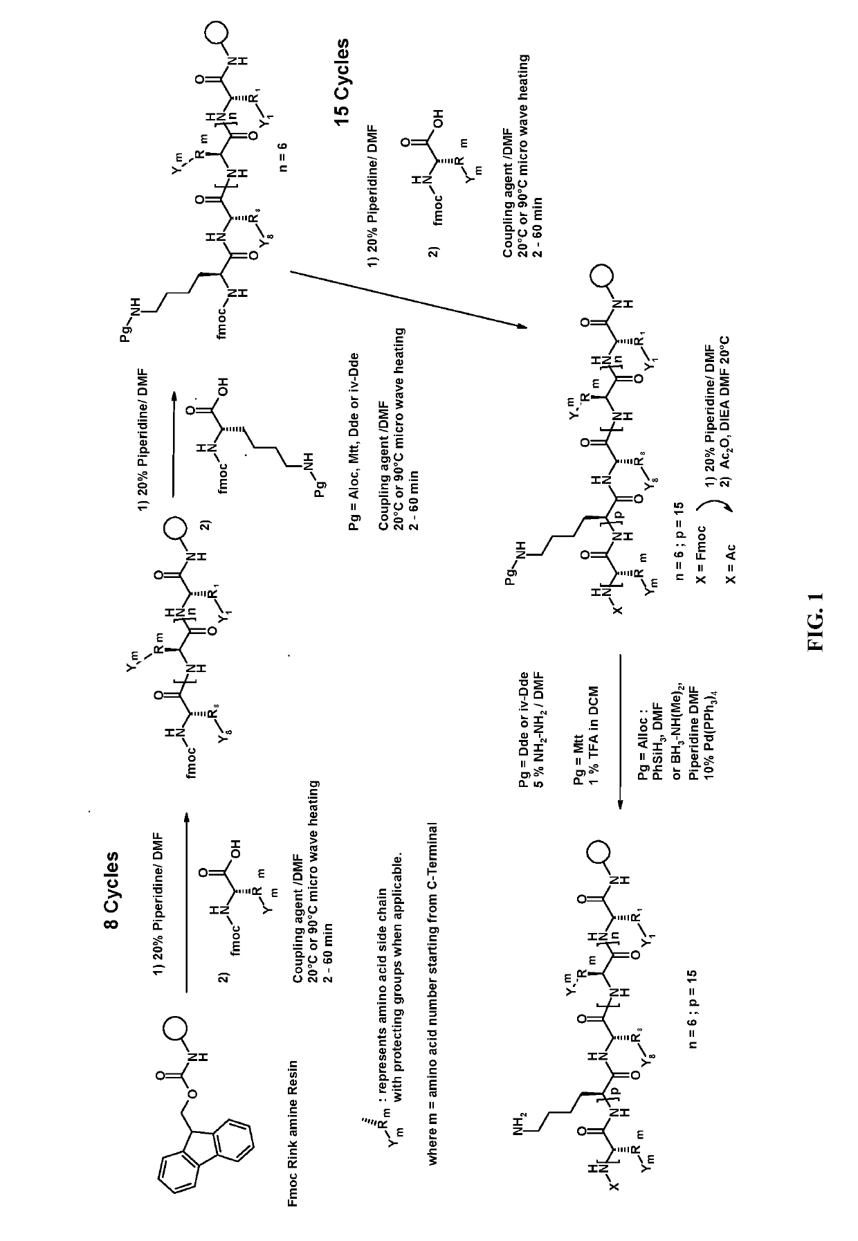 Modified lipidated relaxin b chain peptides and their therapeutic use