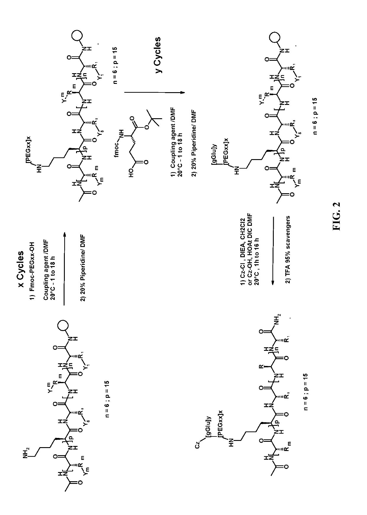 Modified lipidated relaxin b chain peptides and their therapeutic use