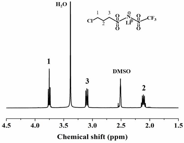 Polyethersulfone single-ion polymer and single-ion gel polymer electrolyte