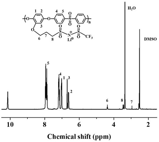 Polyethersulfone single-ion polymer and single-ion gel polymer electrolyte