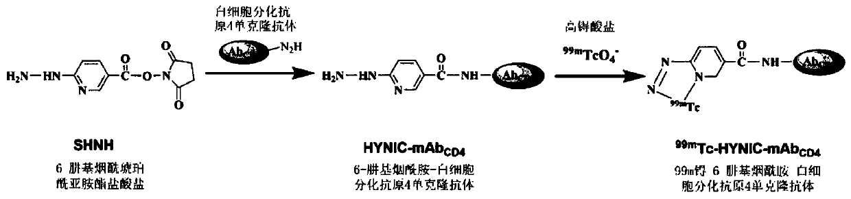 Preparation method of nuclide molecular probe targeting CD4 receptor and application of nuclide molecular probe serving as heart transplant rejection reaction imaging agent