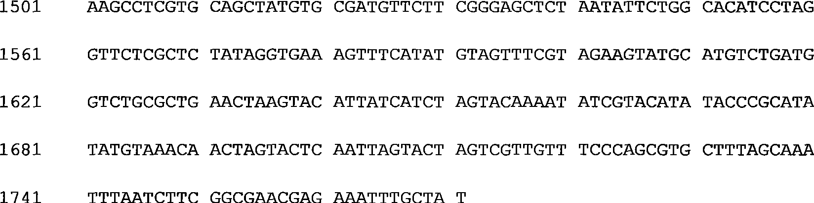 Anti-herbicide gene and use thereof