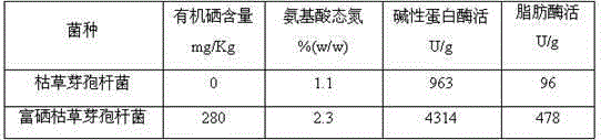 A kind of selenium-enriched Bacillus subtilis enzymatic hydrolyzate and preparation method thereof