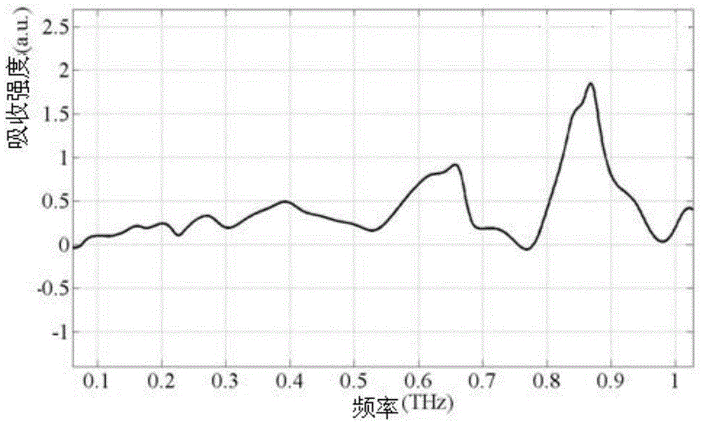 Method for establishing pathogenic bacterium fingerprint by using Terahertz waves