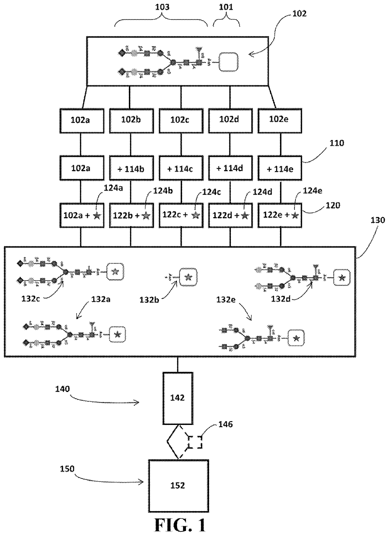 Identification of glycosylation forms