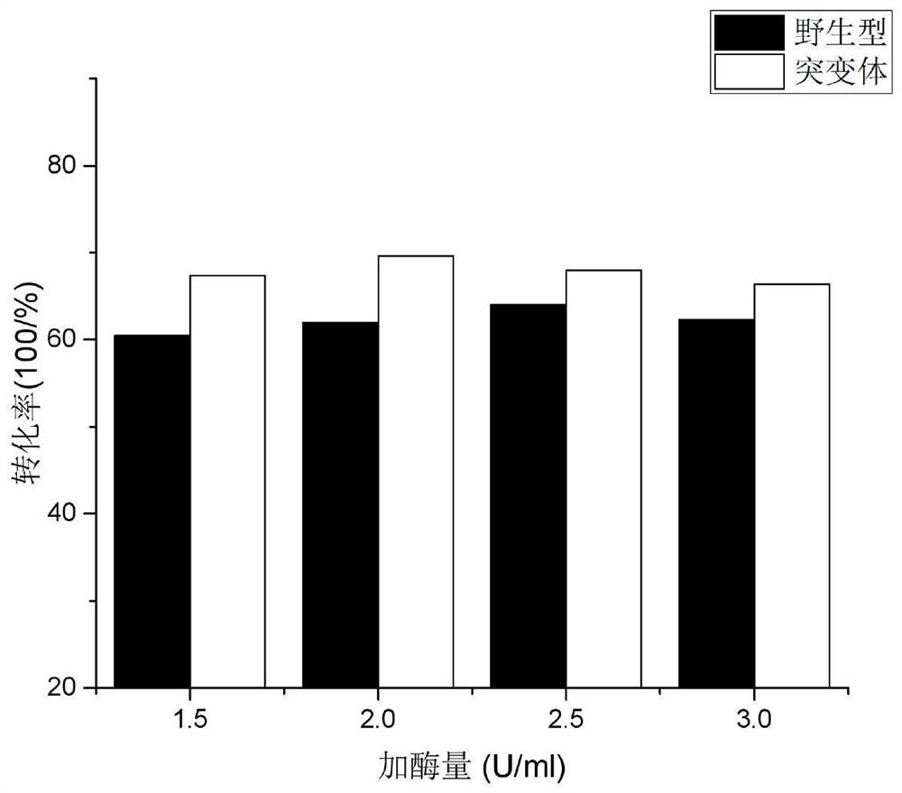 An mtsase mutant with improved thermostability and trehalose production