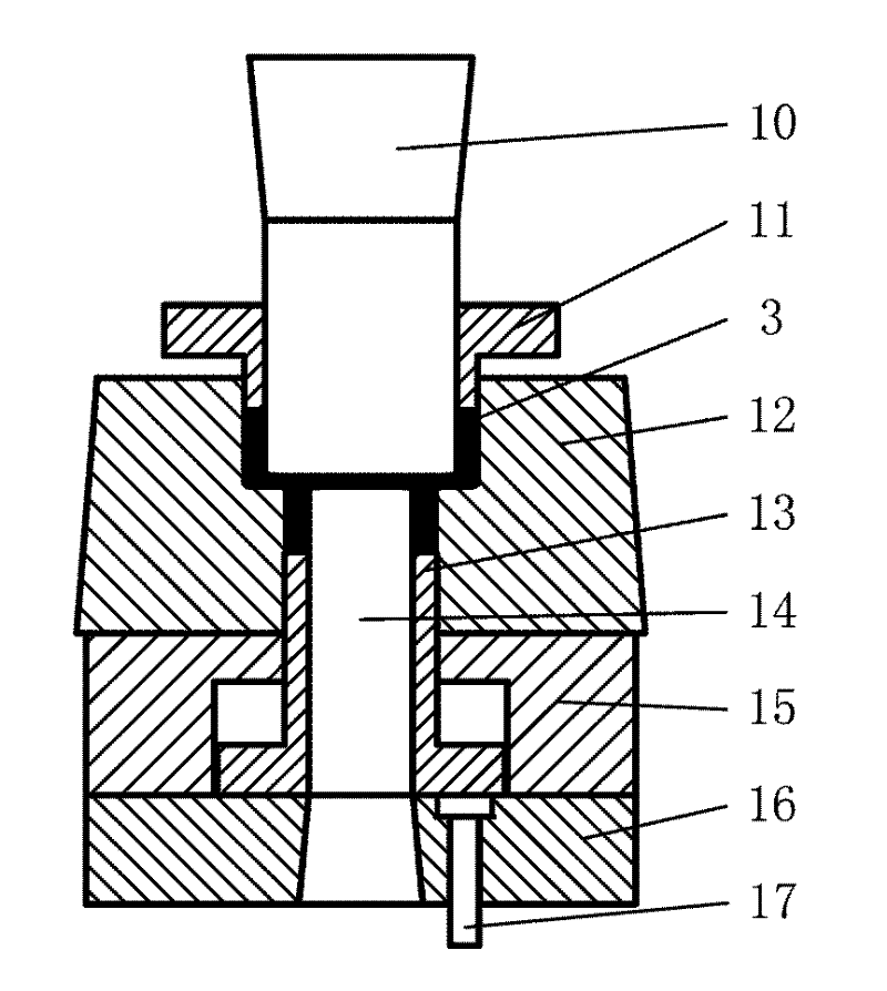 Process for precisely forming inner ferrule blank and outer ferrule blank of bearing