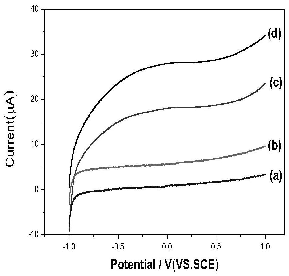 Preparation method of GO-WO3/TiO2 microsphere film electrode