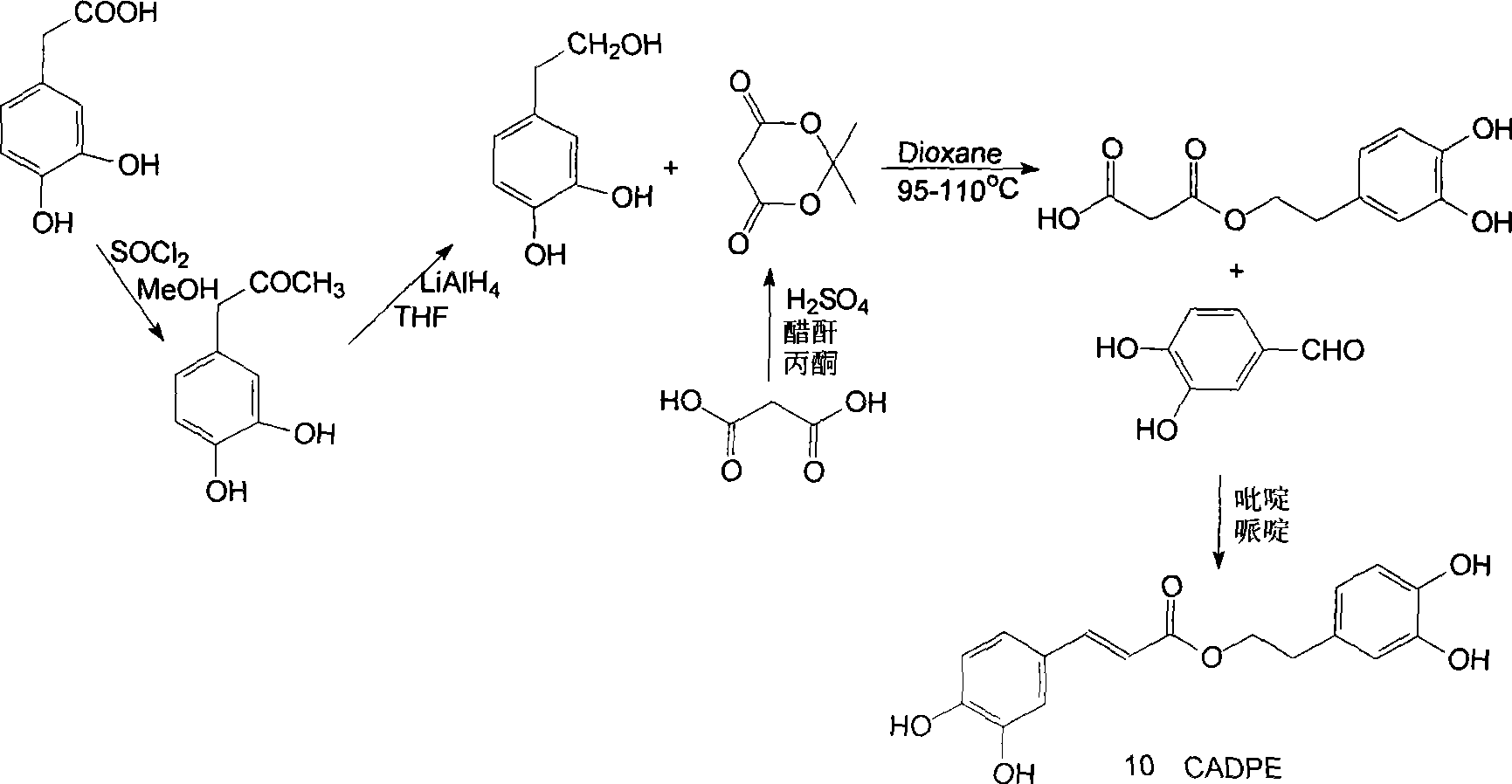 Preparation of 3-(3,4-dihydroxyphenyl)-acrylic acid 2-(3,4-dihydroxyphenyl)-ethyl ester and derivative phenyl acrylic acid phenyl alkyl ester compound