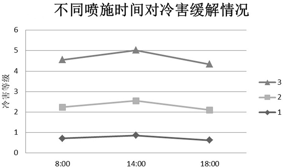 A flue-cured tobacco management and curing method based on betaine application to alleviate cold damage tobacco