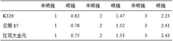 A flue-cured tobacco management and curing method based on betaine application to alleviate cold damage tobacco