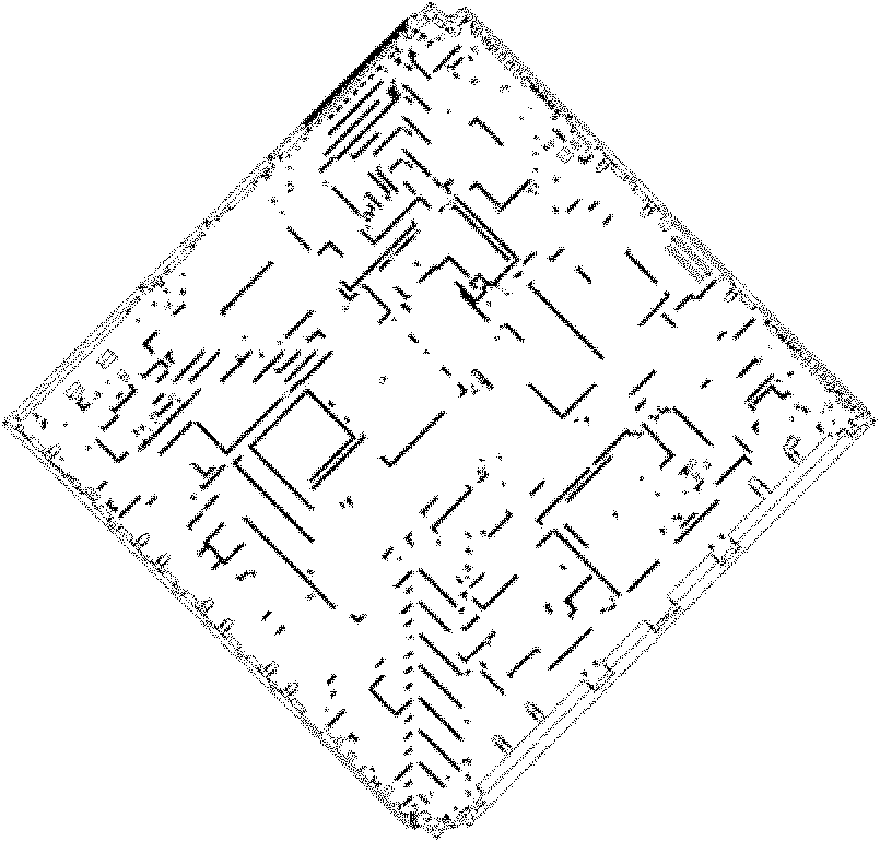 Two-dimensional visualization encryption method for genetic information based on iteration function