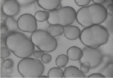 Preparation method of polyamide 6 powder for laser sintering