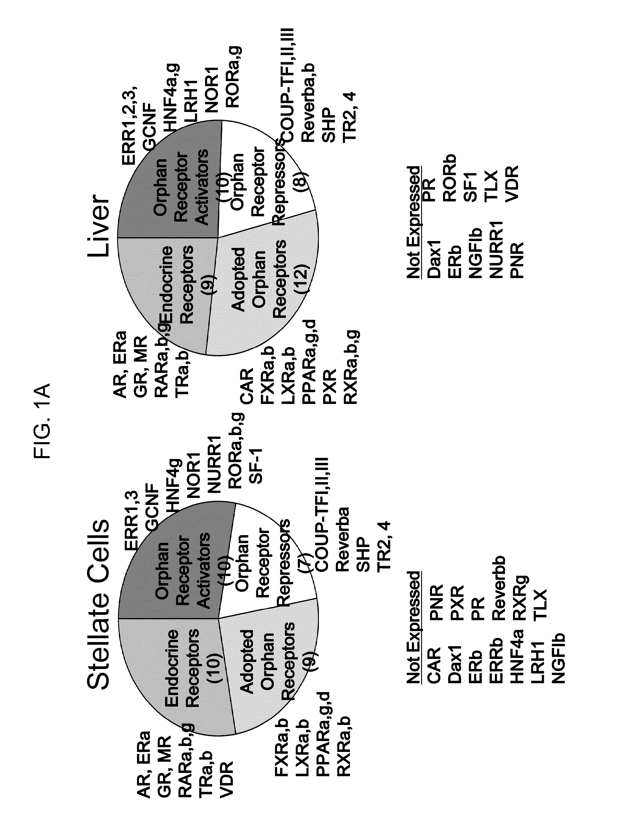 Use of vitamin d receptor agonists and precursors to treat fibrosis