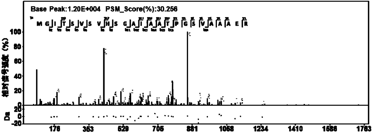 Coding gene of Mycobacterium tuberculosis H37Rv and use thereof