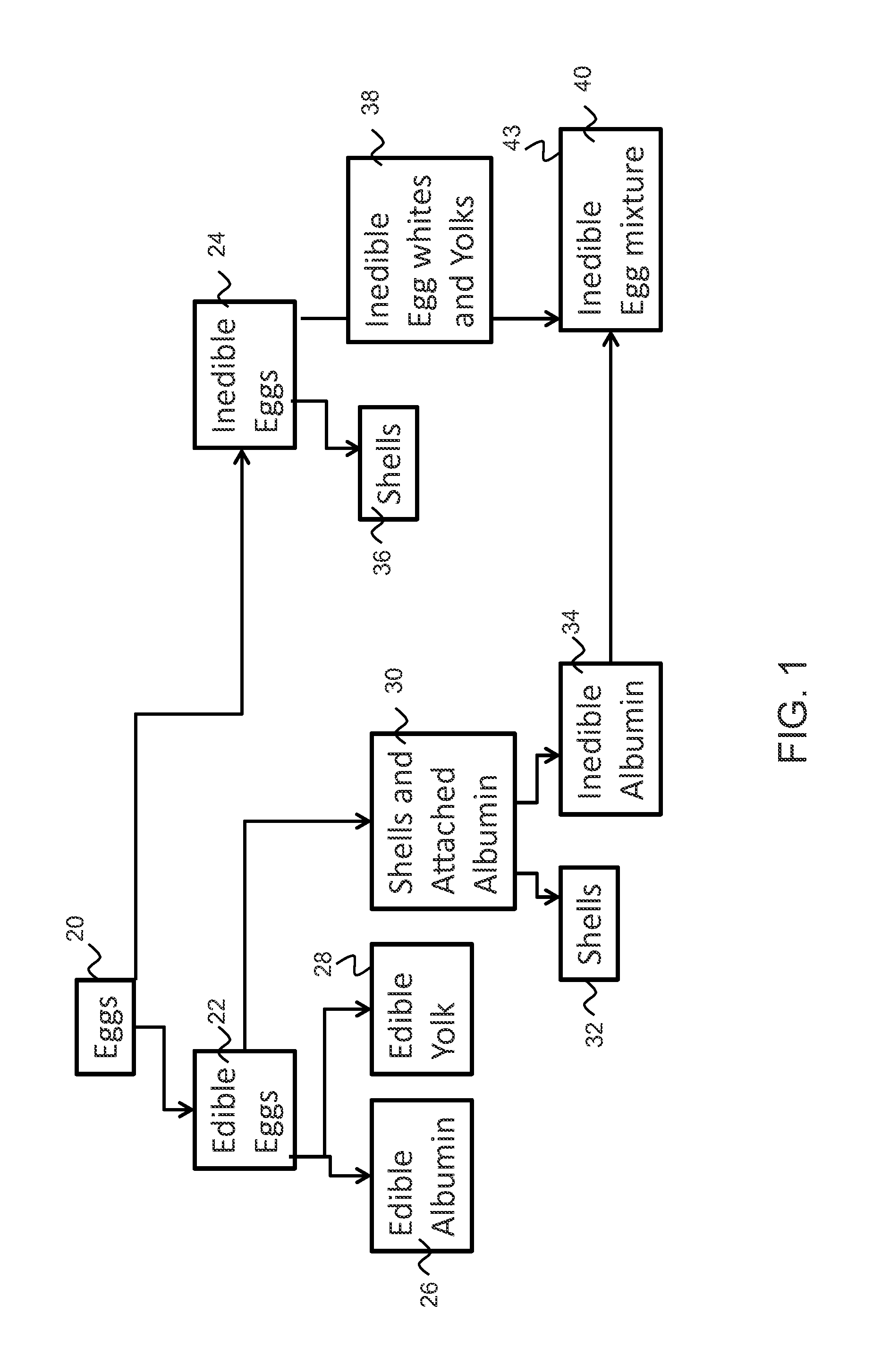 Isolated egg protein and egg lipid materials, and methods for producing the same