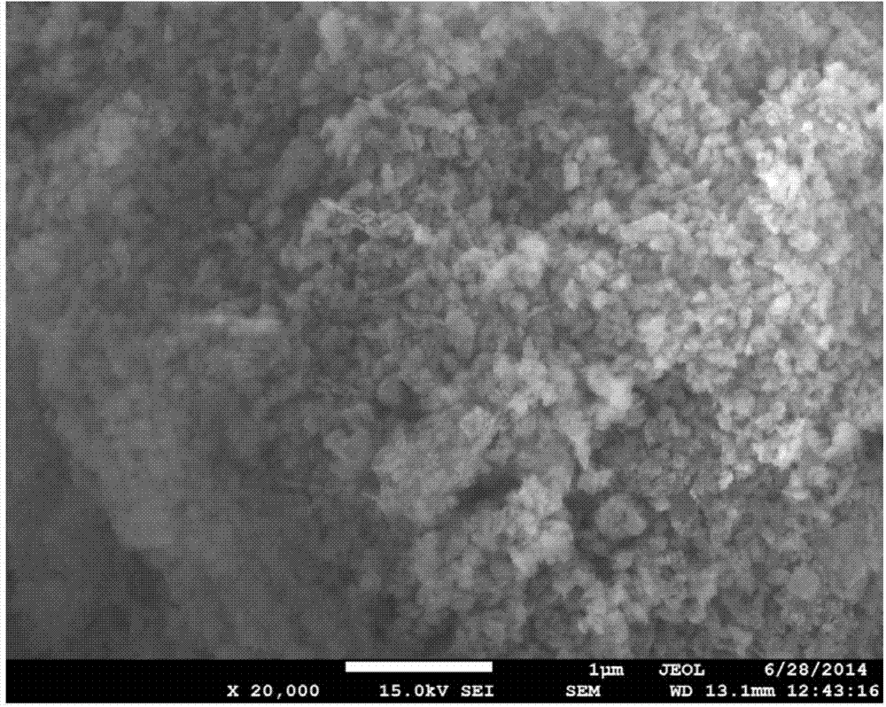 Preparation method of cubic boron nitride micro-powder scanning electron microscopy sample