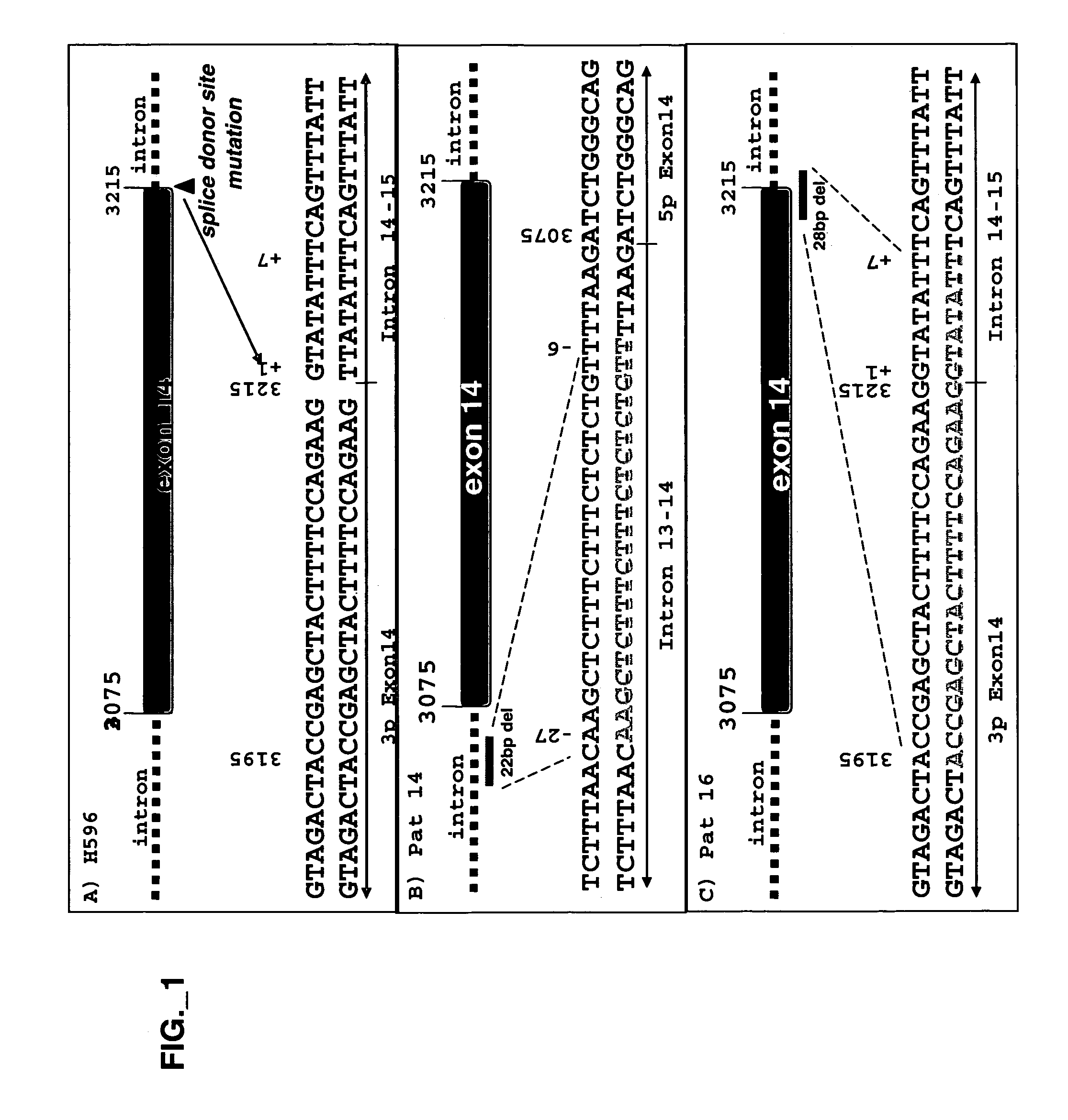 Methods and compositions for modulating hyperstabilized c-met