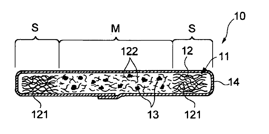 Absorbent Member and Method of Producing the Same