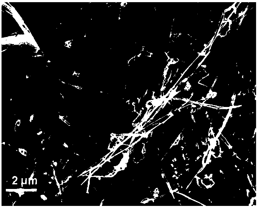 A method for preparing carbon fiber and hydrogen by catalytic cracking of low-carbon hydrocarbons