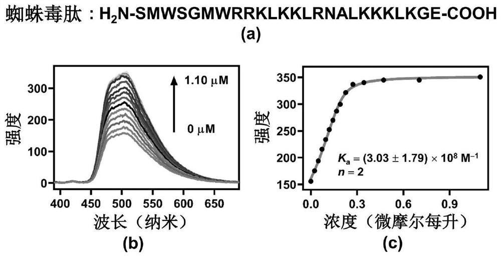 Application of CCA-CD co-assembly in preparation of macromolecular toxin detoxification drug