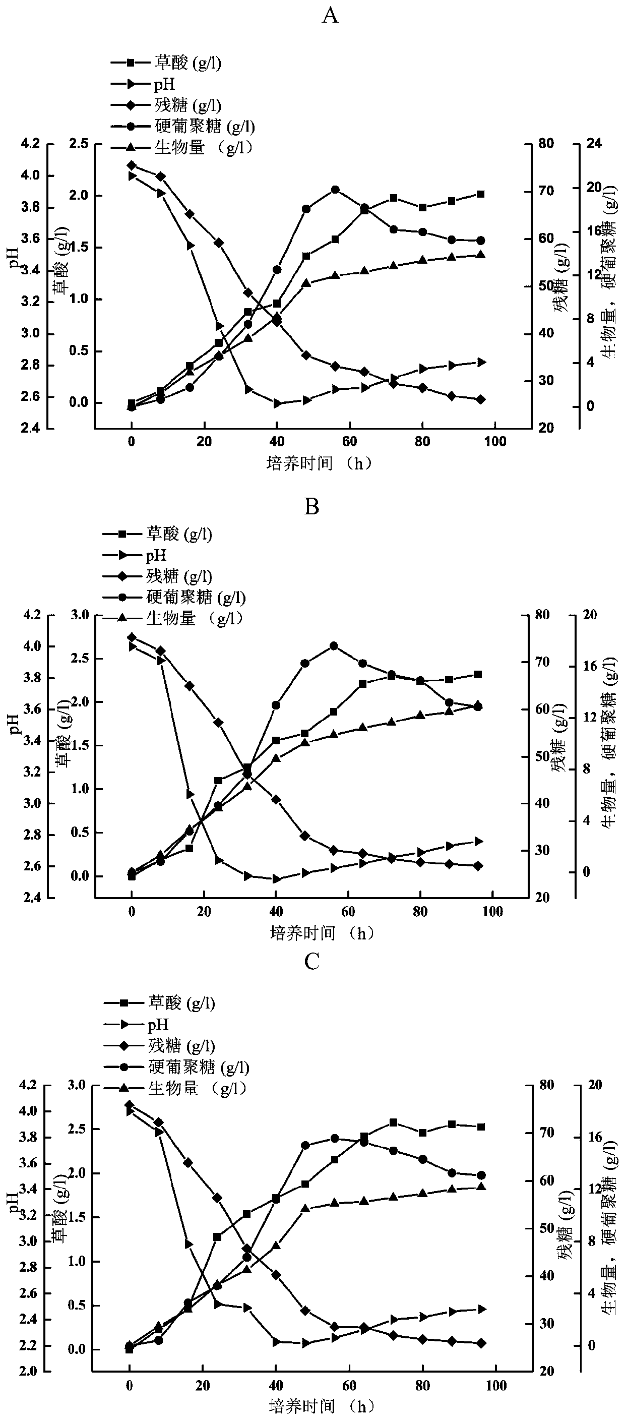 A kind of Sclerotinum and method for fermenting and producing scleroglucan