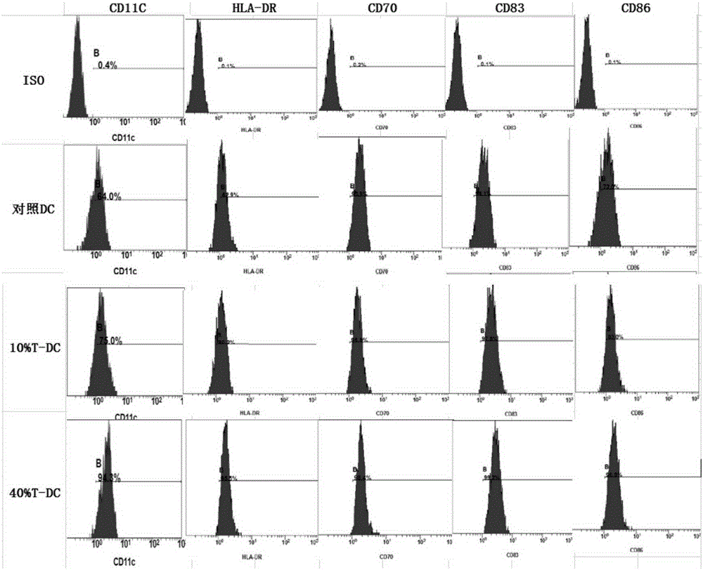 Kit for activating lung cancer specific immunity response