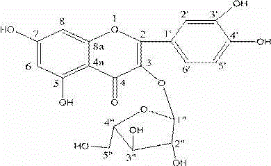 Method for preparing guaijaverin and avicularin from guava leaf and use of method