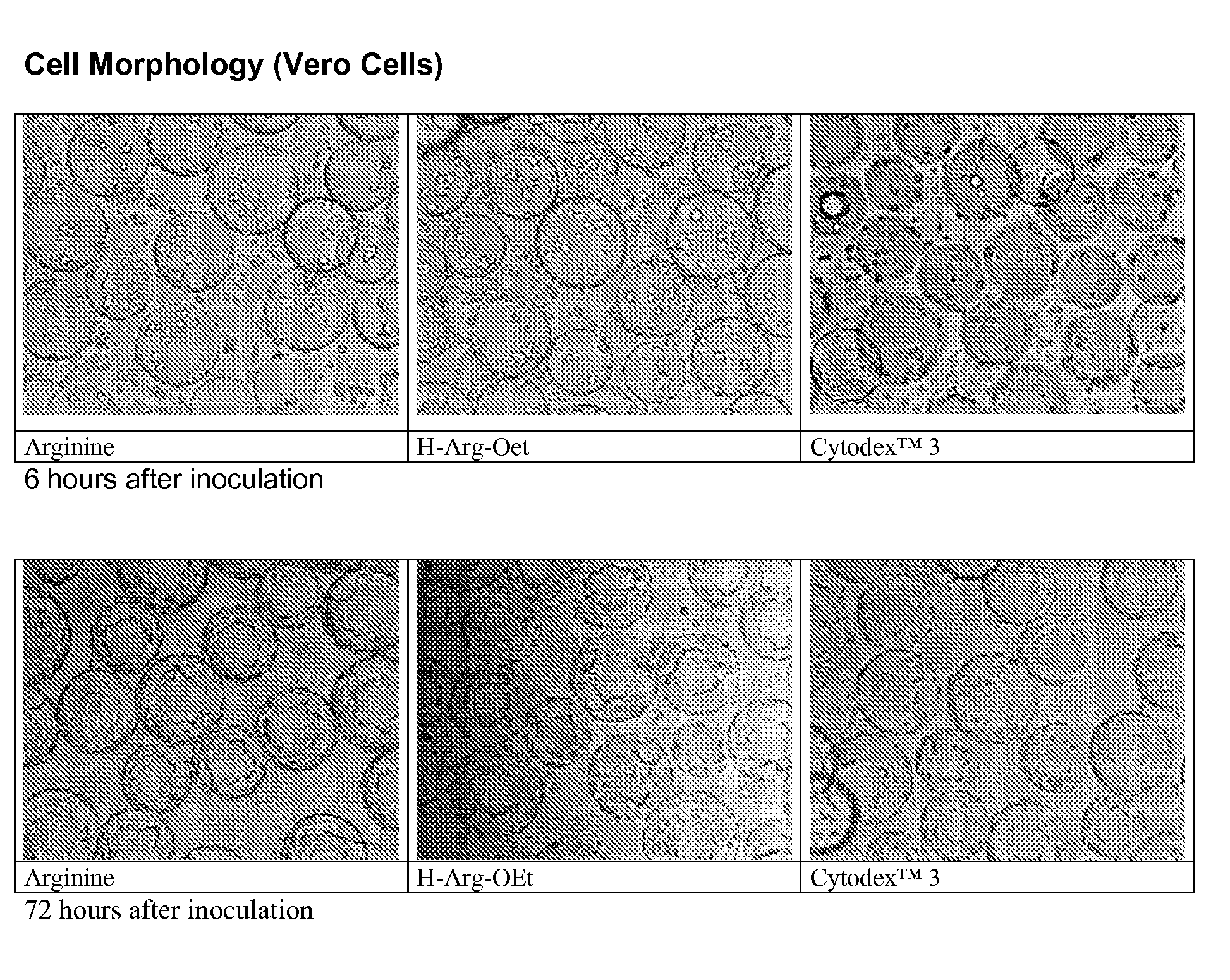 Method for production of cell attachment and culture surfaces