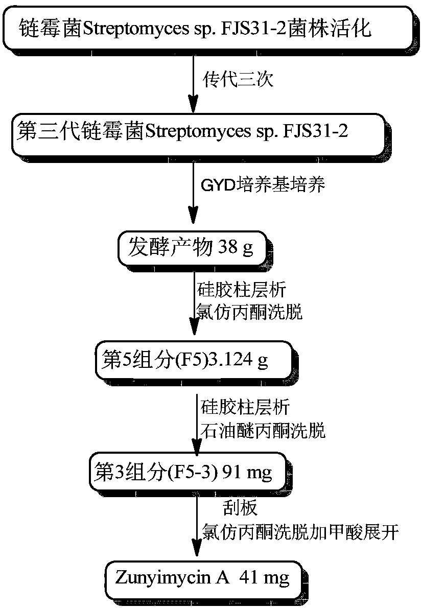 Preparation method for dichloro substituted II-type halogenated polyketone compound and antibacterial activity application