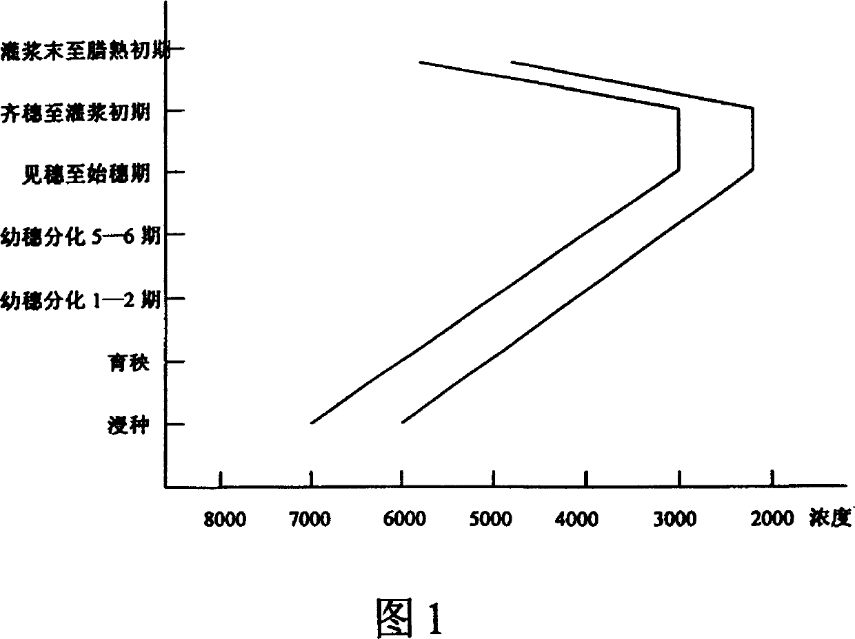 Application of plant growth regulator in seed fabrication of hybridized rice