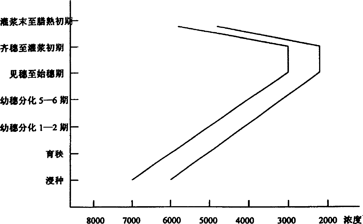 Application of plant growth regulator in seed fabrication of hybridized rice