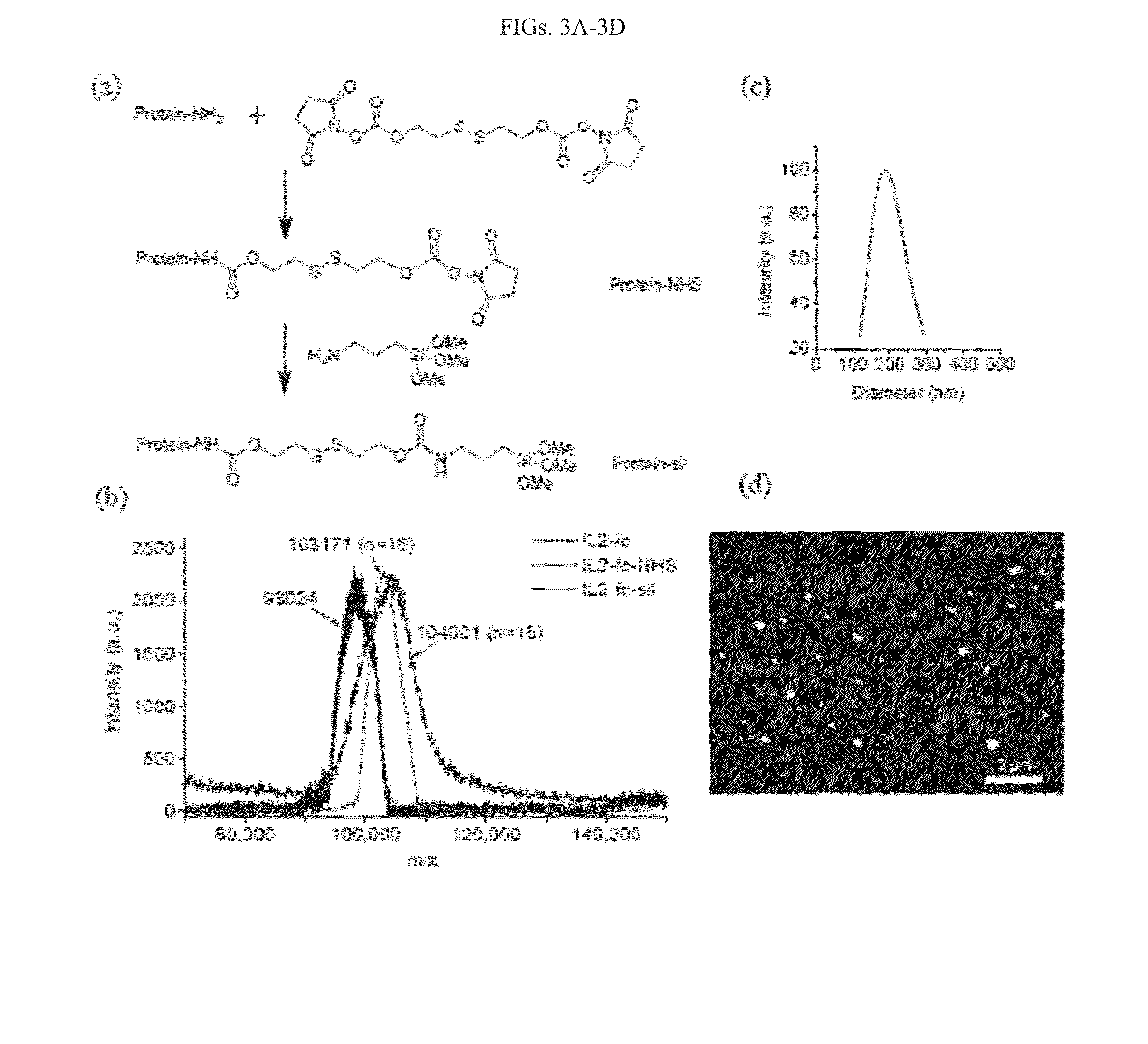 Carrier-free biologically-active protein nanostructures