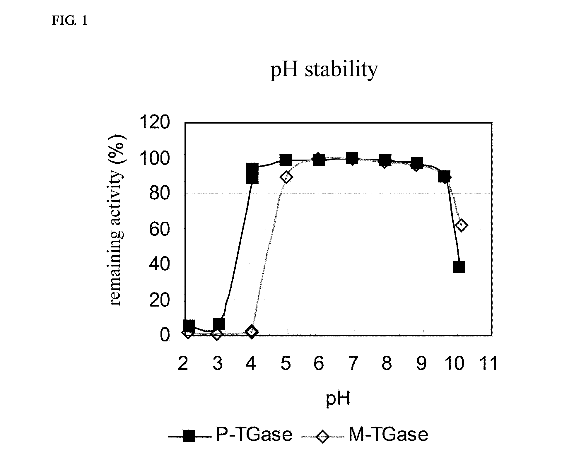 Stabilized transglutaminase and process for production thereof