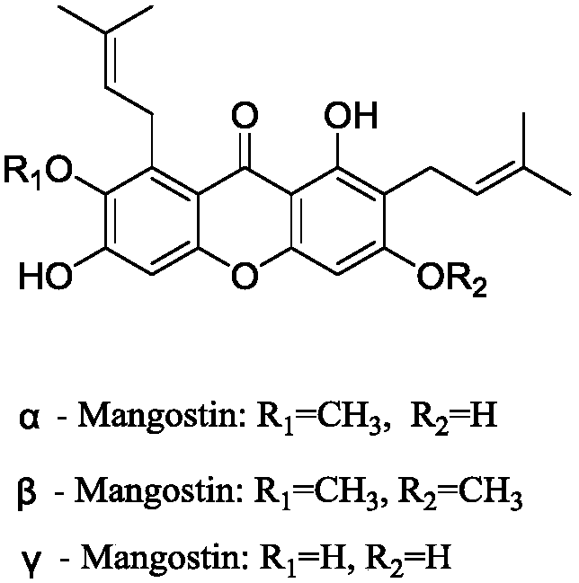 Application of alpha-, beta- and gamma- mangostin as lysine specific demethylase 1 (LSD1) inhibitor