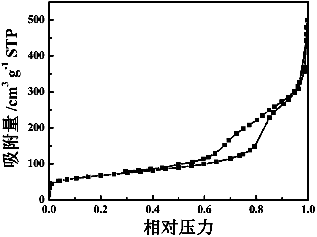 Lithium sulfur battery anode material and lithium sulfur battery utilizing same