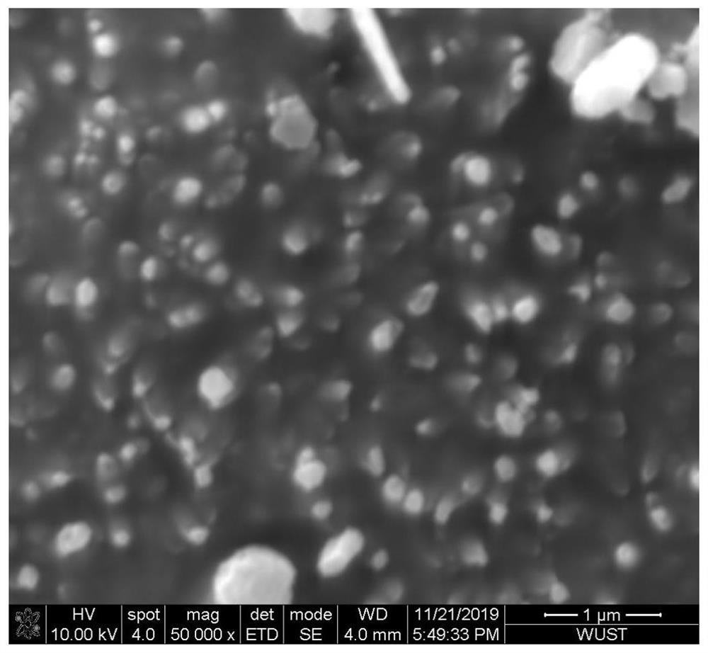 Carbon-coated iron oxide nanorod array material grown on foamed titanium substrate and its preparation method