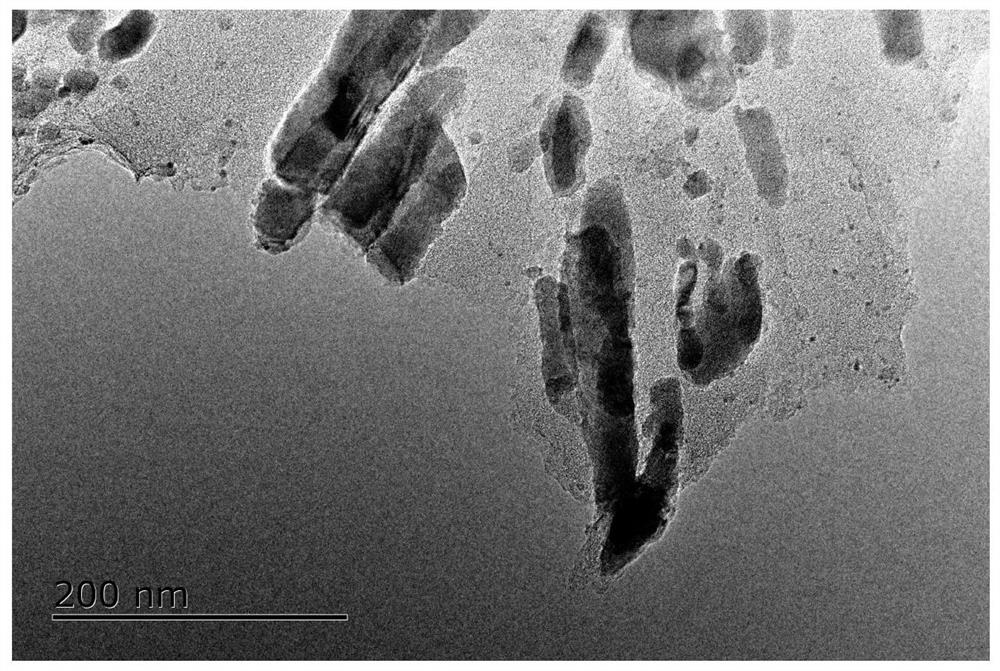 Carbon-coated iron oxide nanorod array material grown on foamed titanium substrate and its preparation method