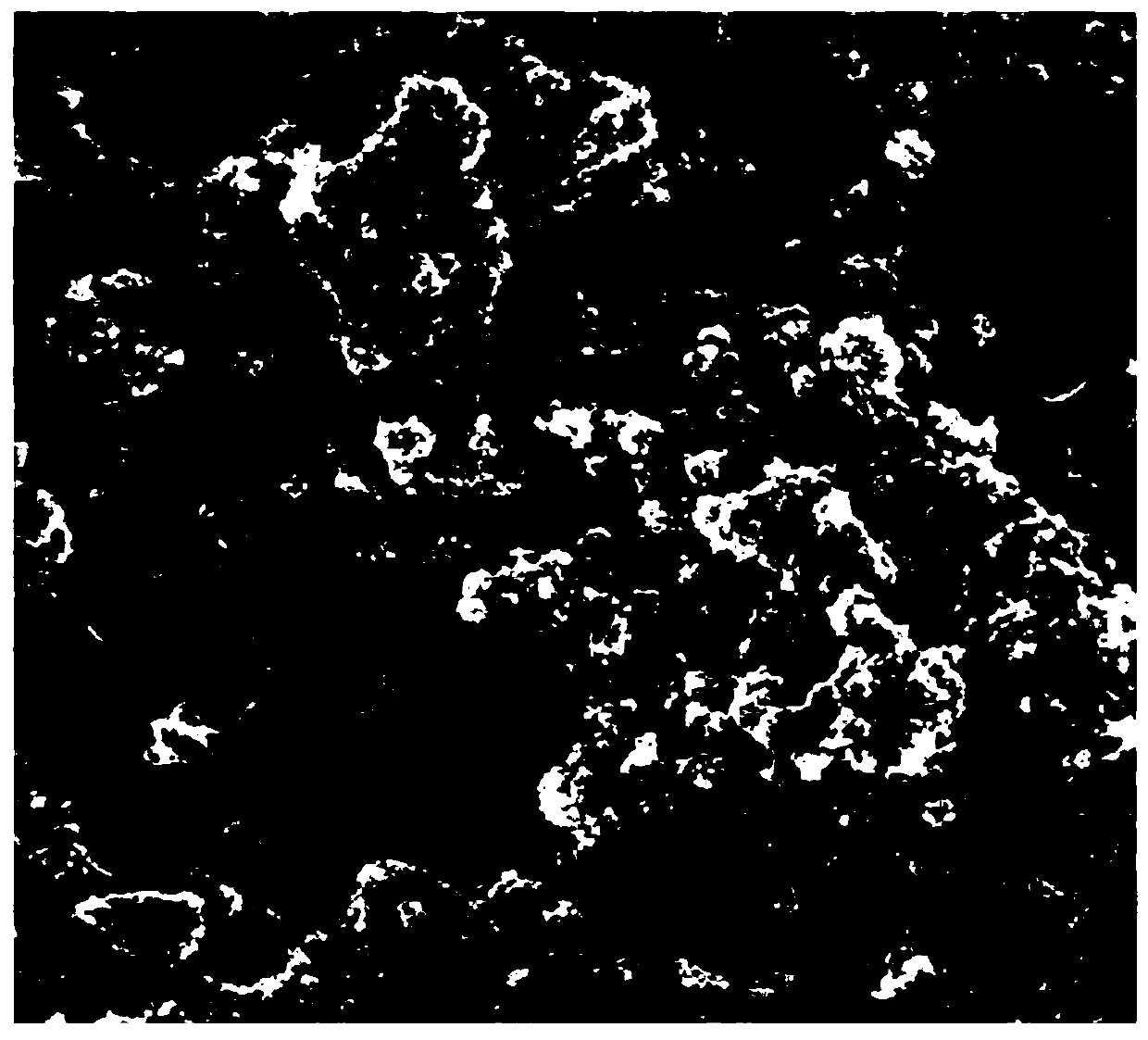 Preparation method of friction-resistant anti-icing coating layer