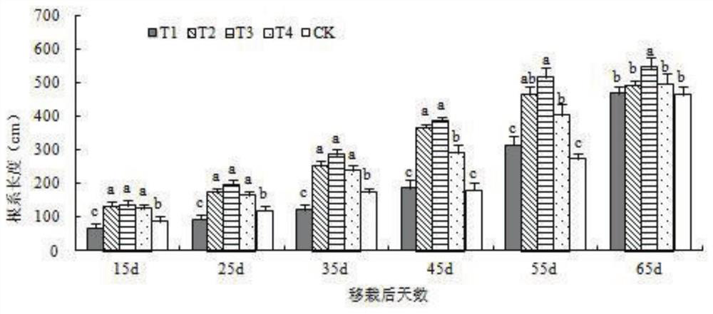 A kind of rice stubble flue-cured tobacco transplanting safety fertilizer and its application method