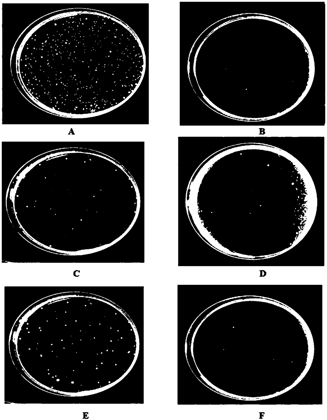 Antibacterial far infrared health care acrylic fiber and preparation method and application thereof