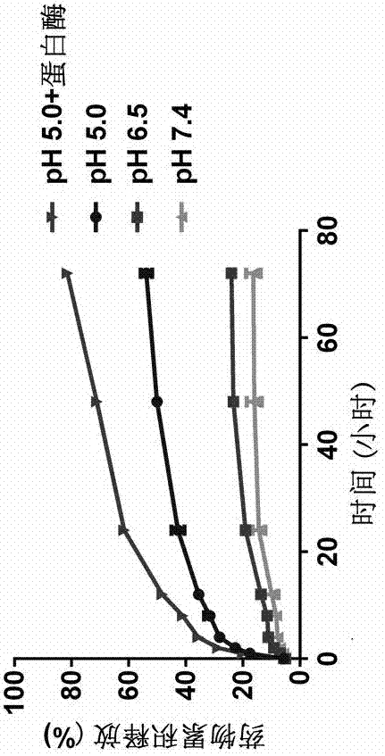 Preparation method of sericin/mesoporous silicon composite drug-loaded nanoparticles wrapped with sericin protein