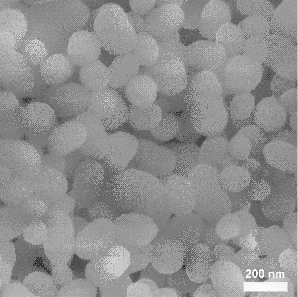 Preparation method of sericin/mesoporous silicon composite drug-loaded nanoparticles wrapped with sericin protein