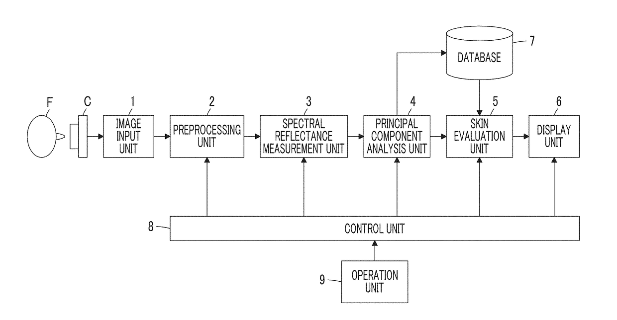 Skin evaluation device, skin evaluation method, and skin evaluation program