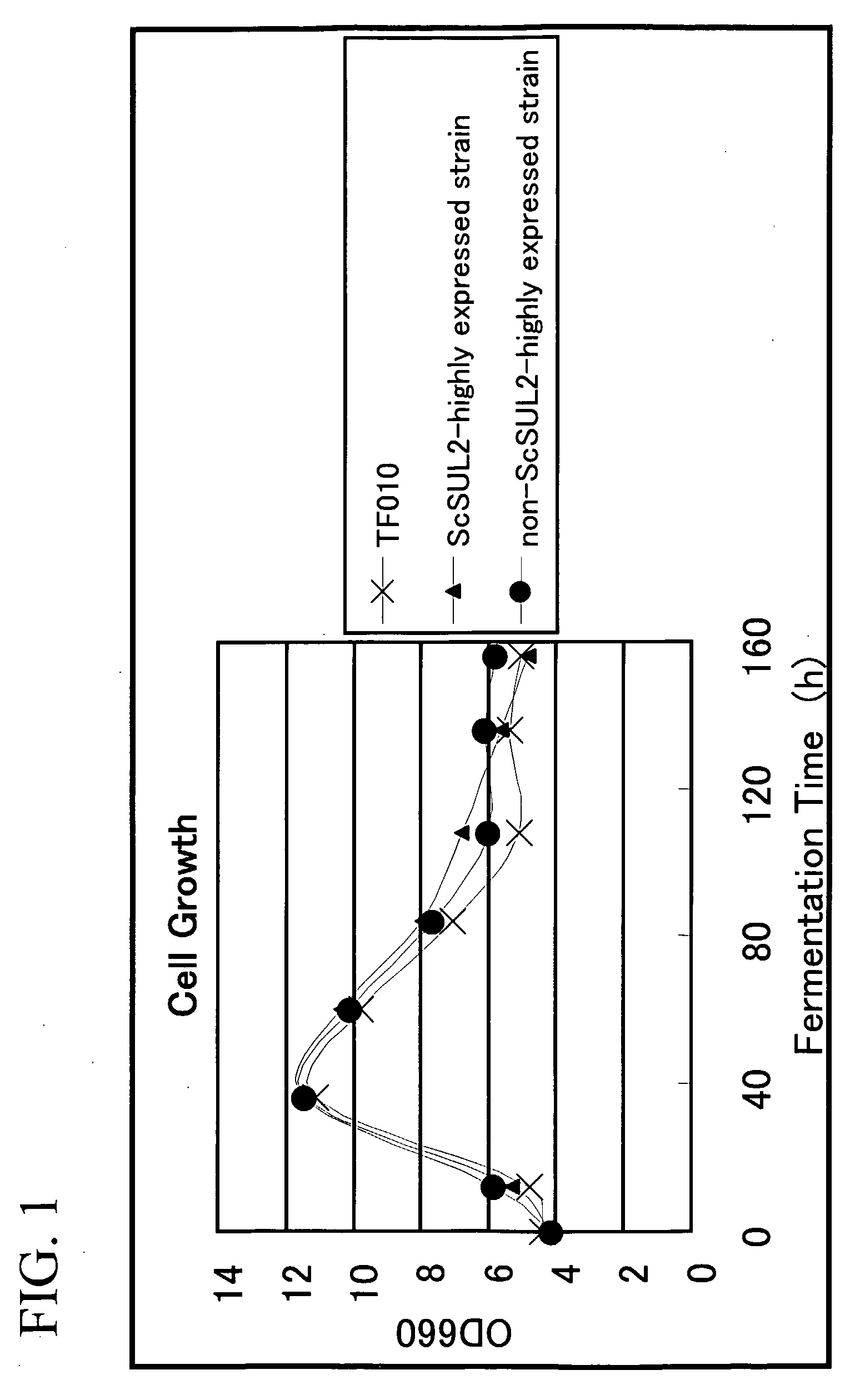 Sulfate Ion Transporter Gene and Use Thereof