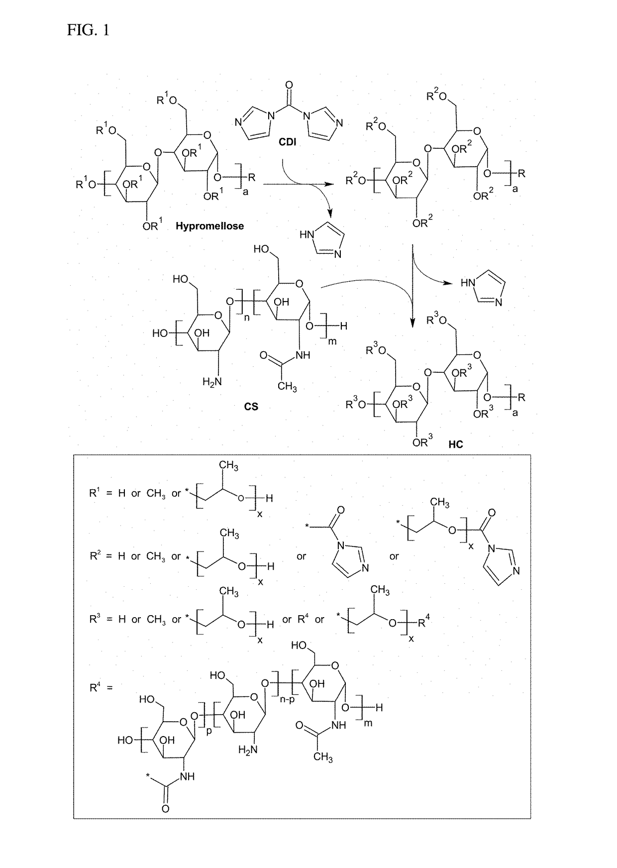 Hypromellose-graft-chitosan and methods thereof for sustained drug delivery