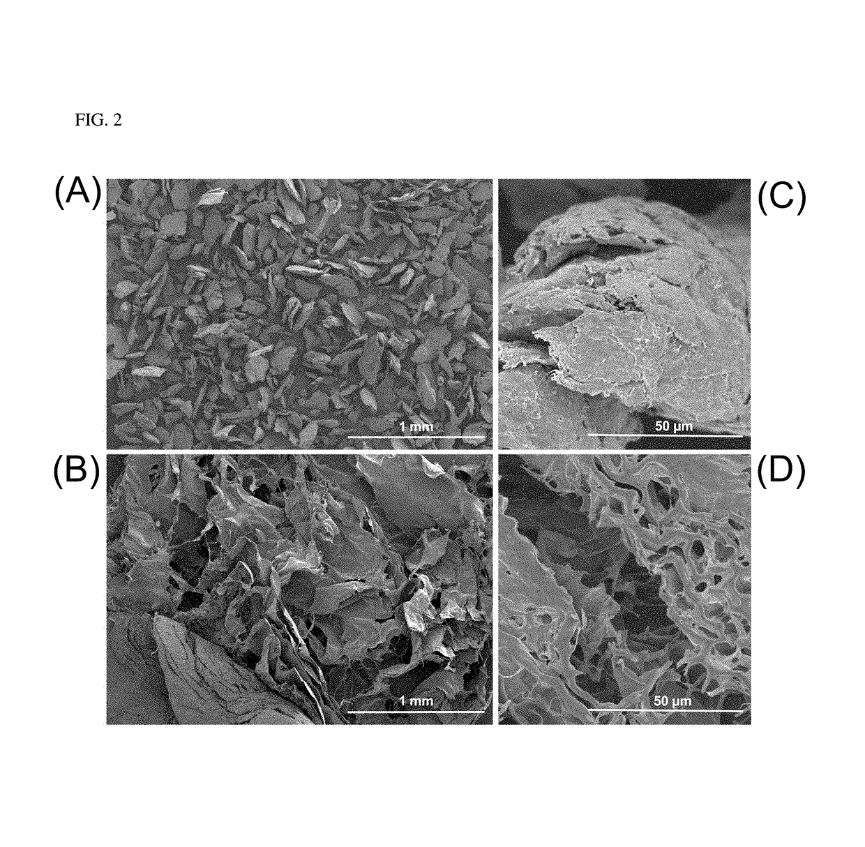 Hypromellose-graft-chitosan and methods thereof for sustained drug delivery