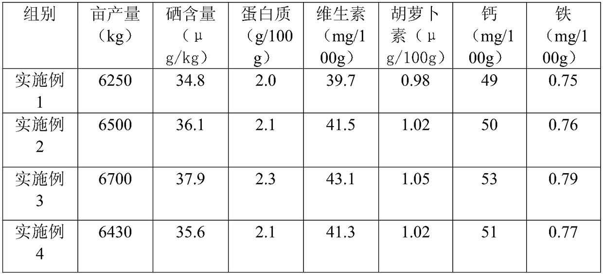 High-yield cultivation method for selenium-enriched white radishes