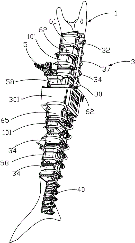 Bionic robot fish and method for controlling floating and submerging of fish body