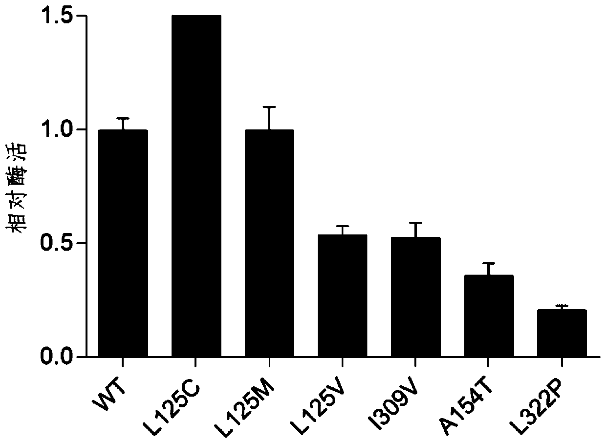 Chondroitin sulfate ABC lyase mutant and secretory expression method thereof